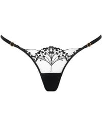 Bluebella - Marisa Embroidered Sheer Thong - Lyst