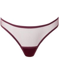 Bluebella - Naomi Mesh Thong Cherry - Lyst