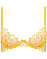 Bluebella - Laurel Leaf Embroidered Bra Gold - Lyst