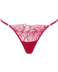 Bluebella - Amarosa Floral Embroidered Thong - Lyst