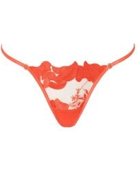 Bluebella - Serenity Embroidered Thong Coral - Lyst