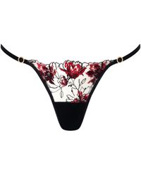 Bluebella - Calista Sheer Floral Brief/Cherry - Lyst
