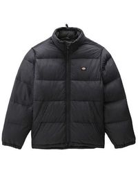 dickies padded jacket