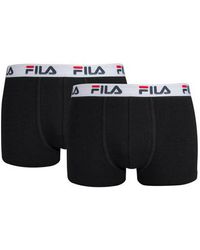 fila boxer