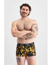 Bonds - Microfibre Guyfront Trunk - Lyst