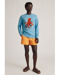 bonobos dinosaur sweater