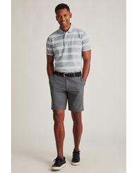 bonobos