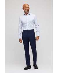 bonobos