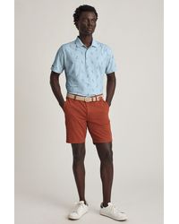 bonobos