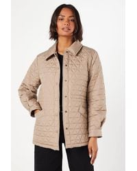 Dorothy Perkins - Quilted Padded Collar Short Puffer Coat - Lyst