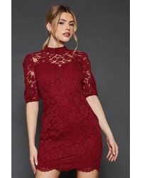 Dorothy Perkins - Lace High Neck Short Sleeve Mini Dress - Lyst