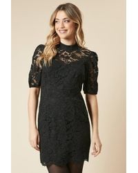 Dorothy Perkins - Lace High Neck Short Sleeve Mini Dress - Lyst