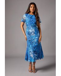 Coast - Petite Printed Lace Midi Pencil Dress - Lyst