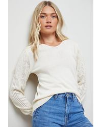 Oasis - V Neck Scallop Detail Bow Pointelle Sweater - Lyst