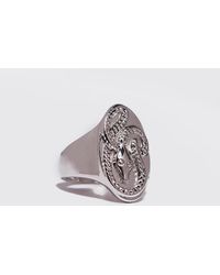 Boohoo Snake Oval Signet Ring - Mettallic