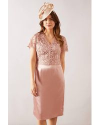 Wallis - Lace Overlay Pencil Midi Dress - Lyst