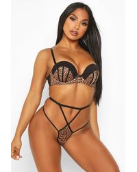 Boohoo Womens Tanga Mit Leoparden-Print Und Strapsen - Braun
