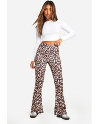 Boohoo - Petite Leopard High Waist Basic Fit & Flare Trouser - Lyst