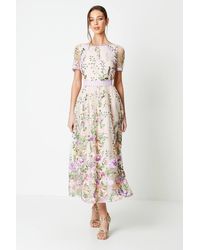 Coast - Lace Trim Detail Embroidered Mesh Midi Dress - Lyst