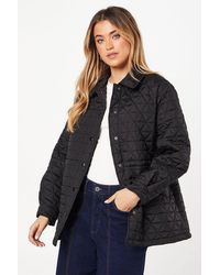 Dorothy Perkins - Quilted Padded Collar Short Puffer Coat - Lyst