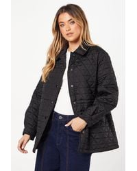 Dorothy Perkins - Quilted Padded Collar Short Puffer Coat - Lyst