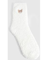 Boohoo - Teddy Bear Fluffy Socks - Lyst