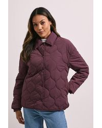 Dorothy Perkins - Quilted Collared Jacket - Lyst