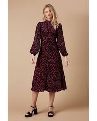 Oasis - Petite Animal Velvet Cutout Back Midi Dress - Lyst