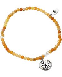 BoohooMAN - Harry Potter Aventurine Time Turner Charm Bracelet - Lyst
