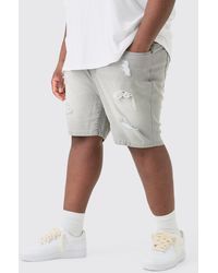 Boohoo - Plus Stretch Denim Distressed Skinny Fit Shorts In Light Grey - Lyst