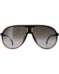 BoohooMAN - Carrera Aviator Black Brown Shade Brown Gradient Champion 65/n - Lyst