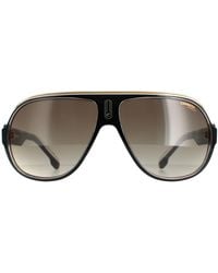 BoohooMAN - Carrera Aviator Black Gold Brown Gradient Speedway/n - Lyst