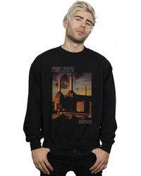 BoohooMAN - Pink Floyd Animals Poster Sweatshirt - Lyst