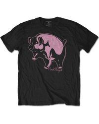 BoohooMAN - Pink Floyd Pig T-shirt - Lyst