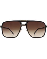 BoohooMAN - Carrera Aviator Black Gold Brown Gradient Carrera 1071/s - Lyst
