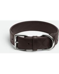 Bottega Veneta - Medium Intrecciato Dog Collar - Lyst