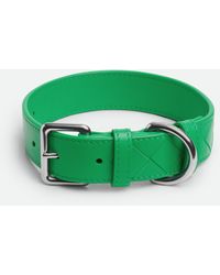 Bottega Veneta - Medium Intrecciato Dog Collar - Lyst
