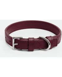 Bottega Veneta - Small Intrecciato Dog Collar - Lyst