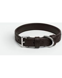 Bottega Veneta - Small Intrecciato Dog Collar - Lyst