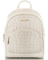 brahmin bookbag