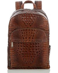 brahmin mens backpack