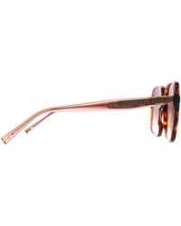 Ted Baker - Sunglasses Tb1688 100 Tortoise Gradient - Lyst