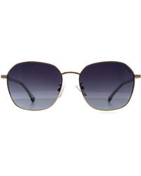 Polaroid - Round Gradient Polarized Pld 4168/G/S/X Metal - Lyst