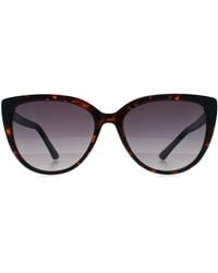 Kenneth Cole - Reaction Butterfly Dark Havana Gradient Kc2979 - Lyst