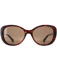 Polaroid - Butterfly Havana Bronze Polarized Pld 4154/S/X - Lyst