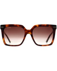Calvin Klein - Square Havana Gradient Ck22534S - Lyst