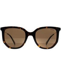 Polaroid - Cat Eye Havana Bronze Polarized Pld 4185/S/X - Lyst