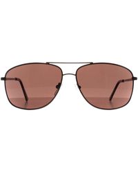 Calvin Klein - Sunglasses Ck19137S 200 - Lyst