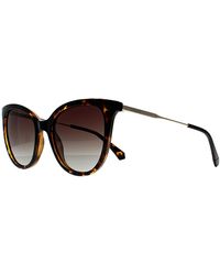 Polaroid - Sunglasses Pld 4184/S/X 086 La Havana Gradient Polarized - Lyst