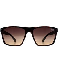 Superdry - Square Havana Kobe - Lyst